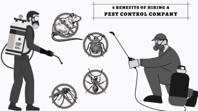 8 Benefits of Hiring a Pest Control Company