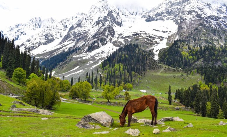 Places to visit in Jammu Kashmir