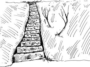 Stairs drawing