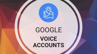 cheap google voice account