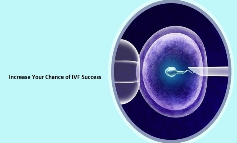 increase your chance of IVF success